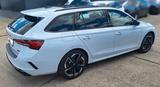 Skoda RS 265PS DSG STHZ DCC PADACH KAMERA eHK LM18" - Skoda Jahreswagen: Automatik