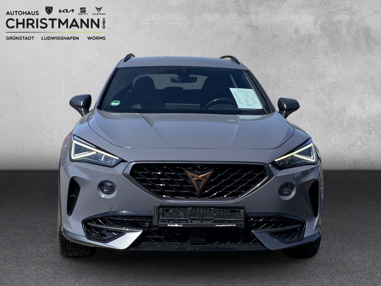 Fahrzeugabbildung CUPRA Formentor VZ 4Drive 2.0 TSI EU6d AD Navi Leder D