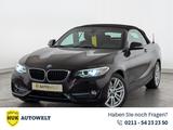 BMW 220d Sport Line XENON+NAVI+PDC+SHZ+TEMP+Navi/SHD - BMW mit Diesel-Antrieb: Cabrio