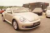 Volkswagen Beetle Cabrio Design Klimaauto PDC SHZ Tempomat - VW New Beetle Gebrauchtwagen