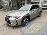 Lexus UX 250h HYBRID Autom. Premium Plus Leder ACC - Lexus UX Tageszulassungen