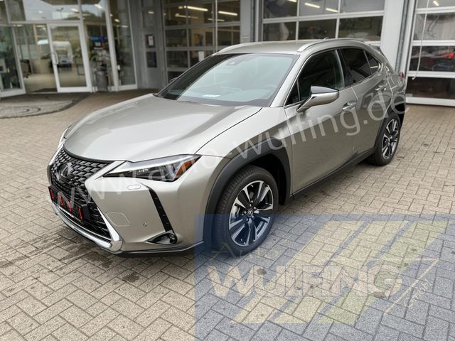 Lexus UX 250h HYBRID Autom. Premium Plus Leder ACC