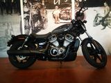 Harley-Davidson RH 975 Nightster - HARLEY-DAVIDSON GEBRAUCHT NIGHTSTER