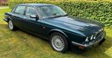 Jaguar XJ 81, Bj. 1994, 6 Liter, petrolgrü... - Jaguar XJ8: Jag