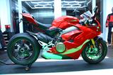 Ducati Panigale V4S Superbike - DUCATI SUPERBIKE