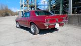Ford Mustang 68 - gebrauchte Ford Mustang aus dem Jahr 1968