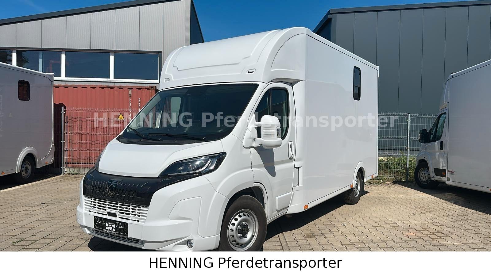 Peugeot Boxer 3 - Sitzer PFERDETRANSPORTER