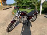 Yamaha Virago 535 - YAMAHA 1993 VIRAGO 535