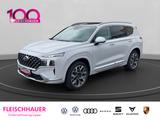 Hyundai SANTA FE Signature 4WD 2.2 CRDi 7-Sitzer DSG - Hyundai SANTA FE in Aachen