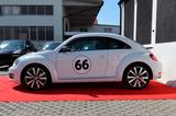 Volkswagen Beetle Lim. Sport - gebrauchte Volkswagen Beetle aus dem Jahr 2011