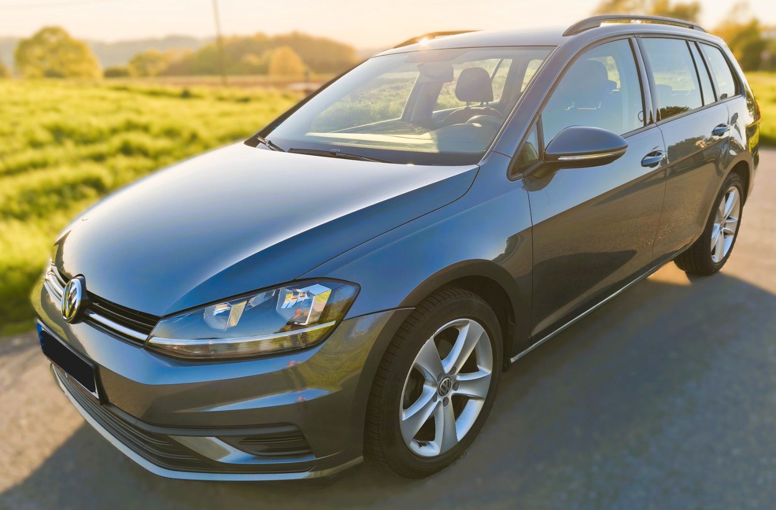 VW Golf