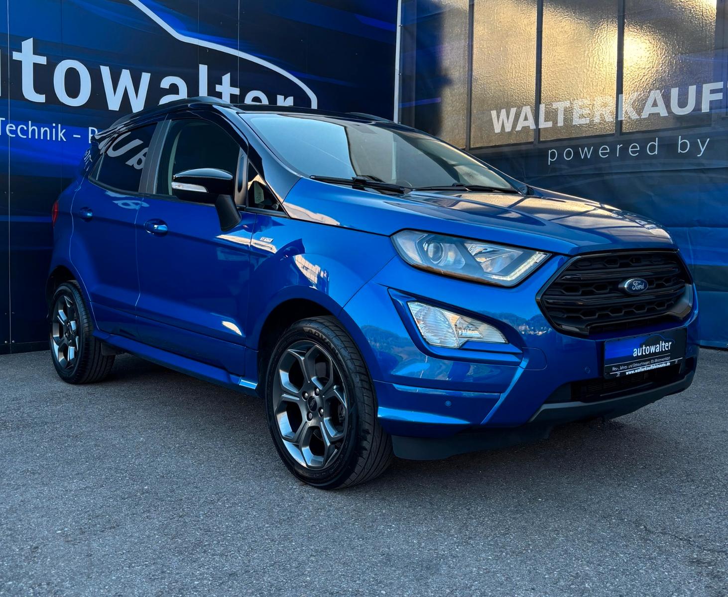 Ford EcoSport ST-Line,Kamera