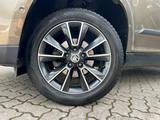 Skoda Yeti 1.2 TSI Elegance Outdoor DSG AHK Bi-Xenon - Skoda Yeti: Schiebedach