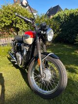 Triumph Bonneville T100 - TRIUMPH BONNEVILLE T100