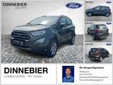 Ford Ecosport Titanium*Winterpaket*Tempomat*Bluetooth - Ford EcoSport Gebrauchtwagen in Berlin