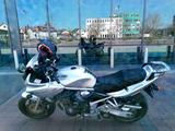 Suzuki Bandit GSF 1200 S - Offers