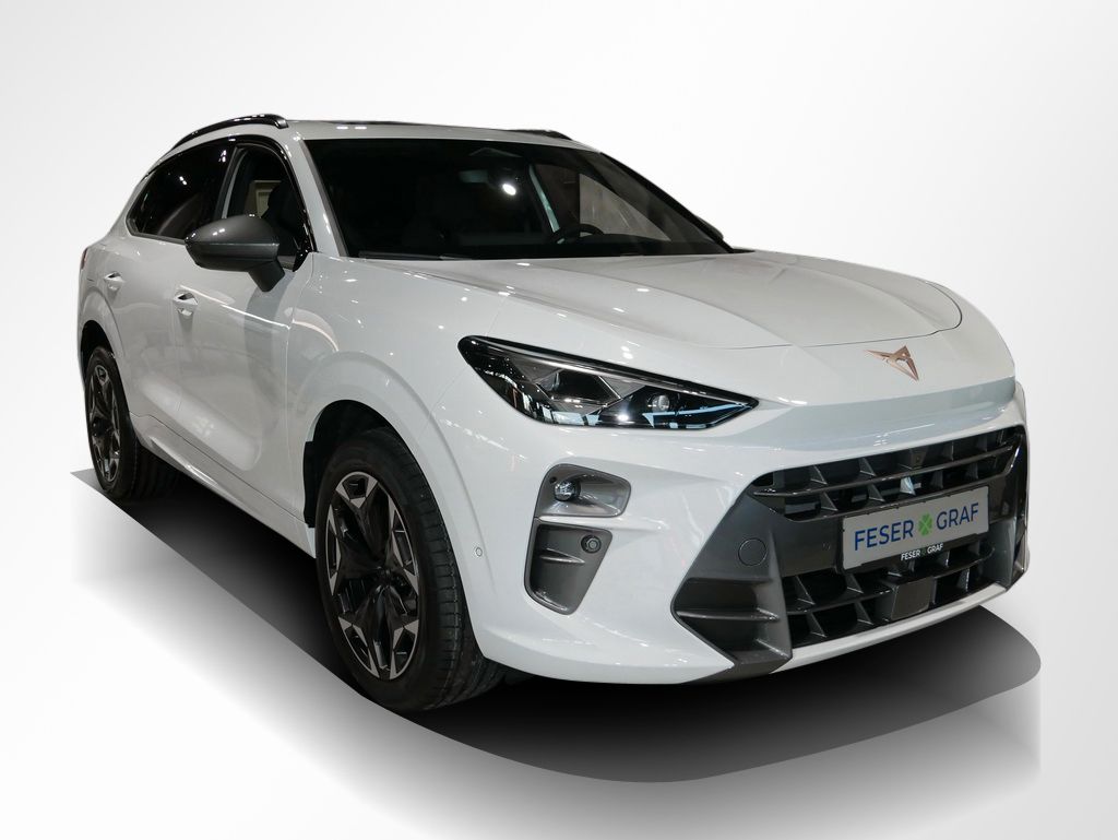 Cupra Terramar - Bild 2