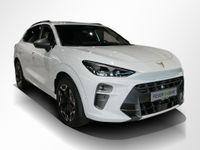 Cupra Terramar - Vorschau Bild 2