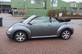 Volkswagen New Beetle 1.9 TDI DPF United Cabriolet - Volkswagen New Beetle: United