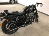 Harley-Davidson Roadster  XL1200 - HARLEY-DAVIDSON ROADSTER 1200