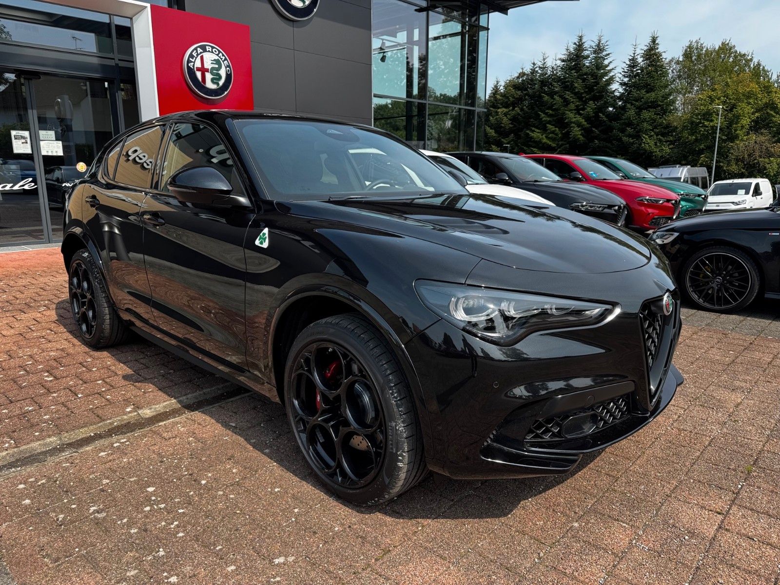 Fahrzeugabbildung Alfa Romeo Stelvio 2.9 V6 Bi-T.  Quadrifoglio NAVI ALLRAD