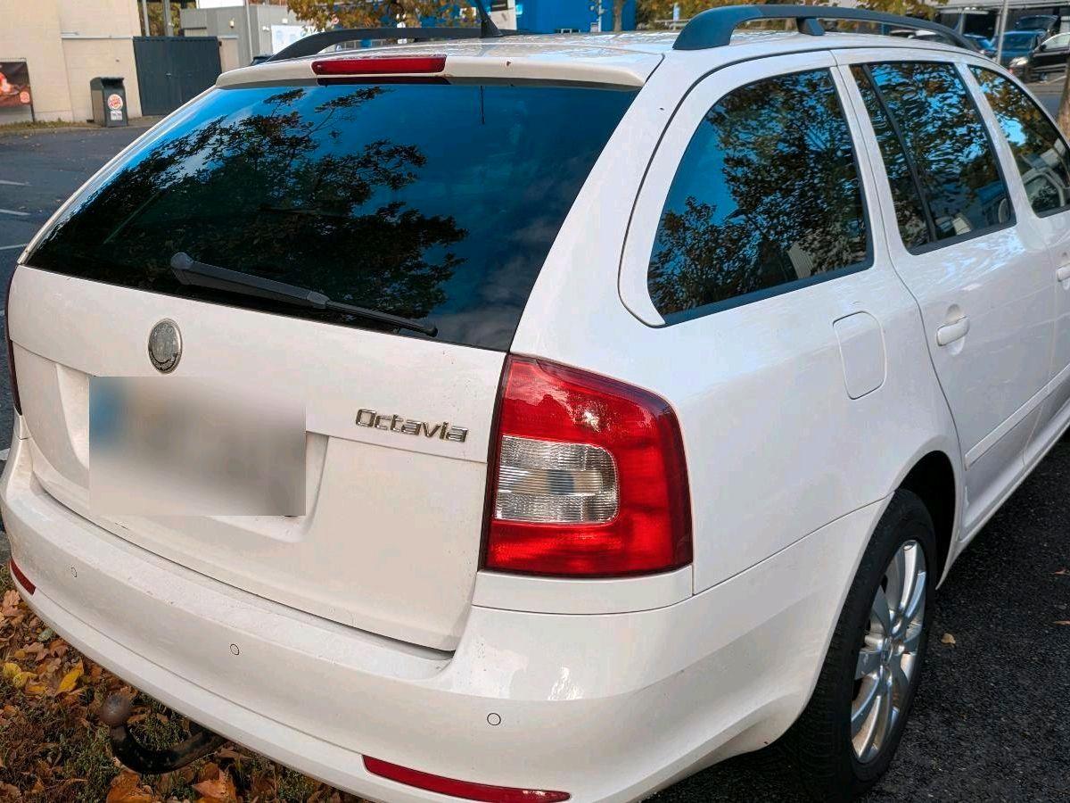 Skoda Octavia 2009 — photo 6