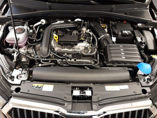 Fahrzeugabbildung Skoda Fabia Selection 1.0TSI DSG LED 4JahreGar LenkHz