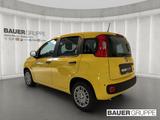 Fiat Panda 1.0 GSE * * PDC * TOP PREIS * ABS Airbag E - Fiat Panda Neuwagen mit Benzin-Antrieb