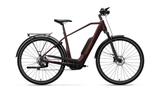 Advanced TREKKING Plus Diamant Cherry Black | 60 cm - Advanced E-Bikes