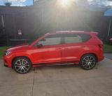 Andere Cobra ateca 300 PS - Andere in Bonn