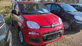 Fiat Panda Pandina 1,0 GSE Hybrid ICON - Fiat Panda Gebrauchtwagen in Augsburg