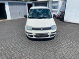 Fiat Panda 1.2 - Fiat Panda in Bonn