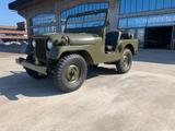 Jeep Willys US  Army - Jeep Willys Oldtimer mit Benzin-Antrieb: Geländewagen