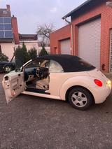 Volkswagen Beetle 1.6 Cabrio - Volkswagen Beetle aus 2003: Cabrio