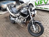 Honda Hornet 600 - HONDA 2004 HORNET 600