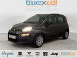 Fiat Panda Lounge ALLWETTER PDC KLIMA METALLIC CD/MP3 - Fiat Panda Gebrauchtwagen in Krefeld