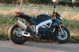 Aprilia Tuono V4 Factory  - APRILIA MOTORRAD