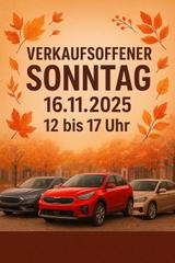 Audi A5 Cabriolet S-Line /NAVI/LED/BT/PDC - Audi A5: Weiß, Cabrio