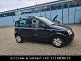 Fiat Panda 1.2 8V Dynamic.Panoramadach - Fiat Panda Gebrauchtwagen in Aachen