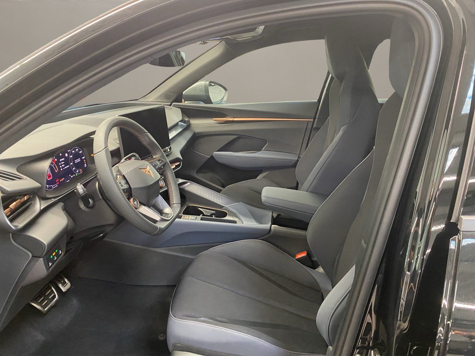 Cupra Terramar - Bild 8