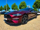 Ford Mustang 2.3 / Facelift / Night Edit. / Sitzklima - Ford Mustang: 2.2