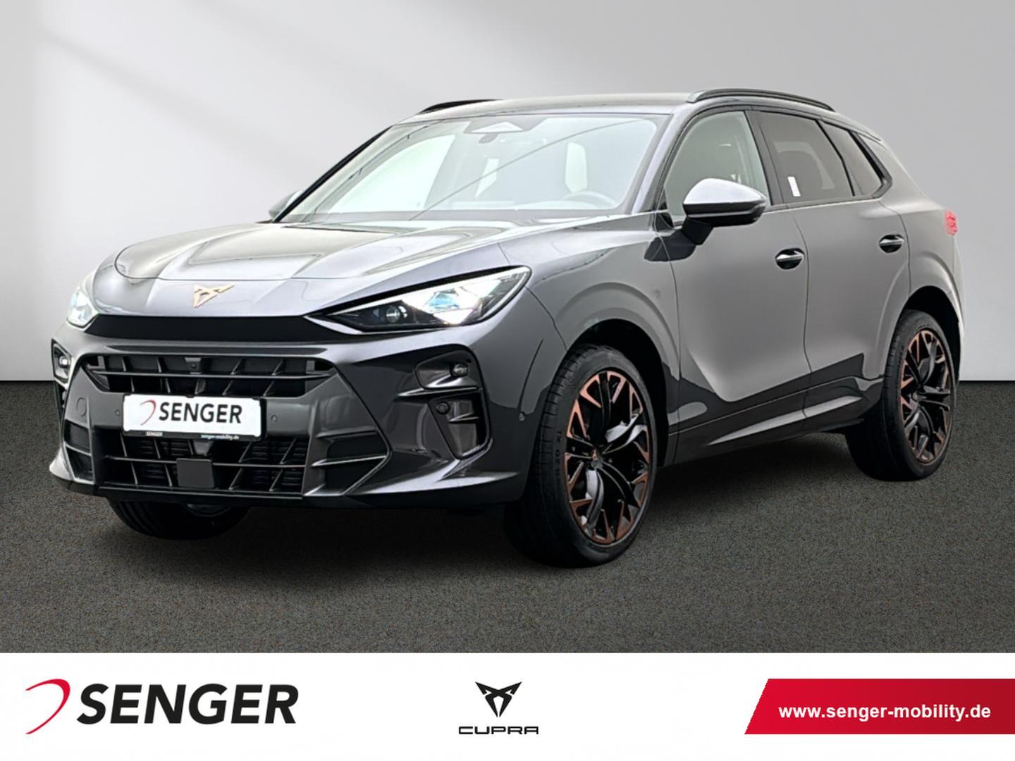 Cupra Terramar VZ 2.0 TSI 4D DSG AHK Kamera HuD Matrix