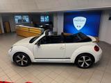 Volkswagen Beetle Cabriolet Club BMT - Volkswagen Beetle: Roadster