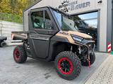 Odes Workcross 1000-3 *UTV*ABS*Klima*Kabine*Display - UTV