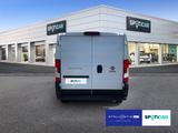 Fiat Ducato 30 L2H1 Klima Kamera Allwetter Ersatzrad - Angebote
