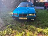 BMW Bmw e36 compact - BMW: E36 Compact