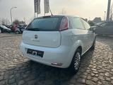 Fiat Punto Pop Allwetterreifen DAB Kamera - Fiat Punto Gebrauchtwagen