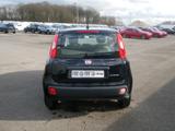Fiat Pandina PANDA ICON HYBRID 1.0 GSE 65PS PDC RADIO - schwarze Fiat New Panda