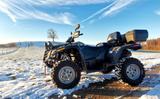 Arctic Cat 550, 4x4 plus Seilwinde ATV mit LOF Zulassung  - Offers
