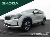 Skoda KODIAQ 2.0 TSI DSG 4x4 SELECTION | PANO | AHK | - Gebrauchtwagen in Lübeck